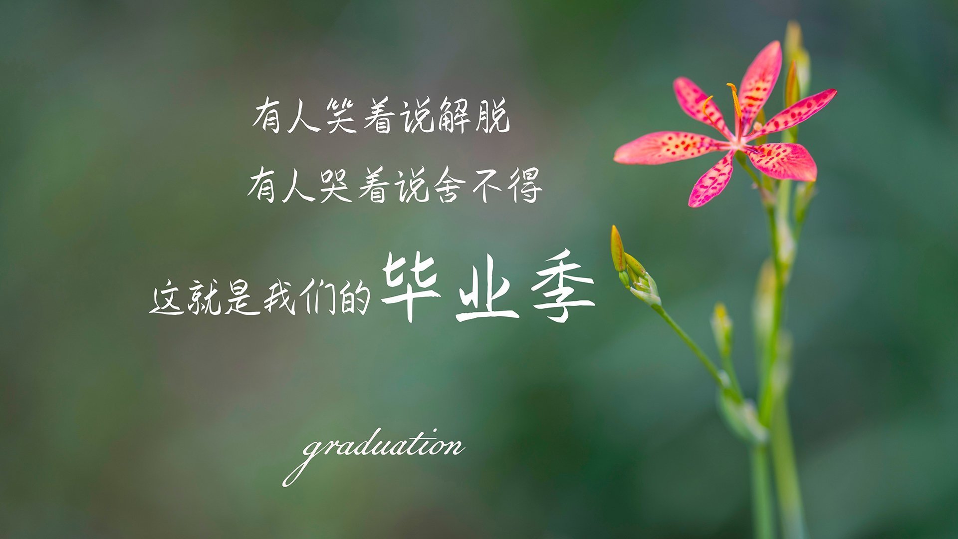 “逆风翻盘”时代：车队的战术逆转史诗