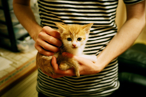 《英雄联盟洲际赛,战术布局全场焦点》,英雄联盟洲际赛叫什么