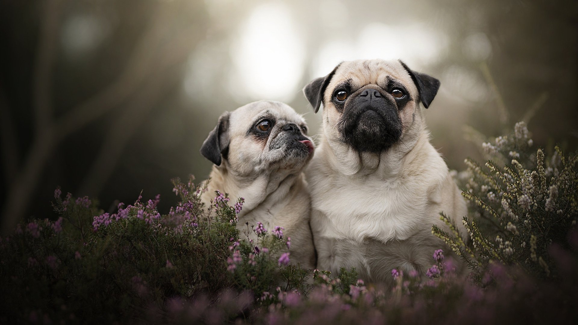 中国男足在巴黎奥运会上取得历史性成绩,中国男足在奥运会上的成绩